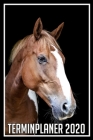Terminplaner 2020: Jahresplaner von September 2019 bis Dezember 2020 mit Pferd - Planer mit 174 Seiten in weiß im Format A5 mit glänzende By Pferde Kalender Cover Image