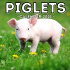 Piglets Calendar 2021: 16-Month Calendar, Cute Gift Idea For Baby Pig Lovers Men & Women Cover Image