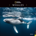 National Geographic: Whales 2024 Wall Calendar Cover Image