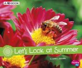 Let's Look at Summer: A 4D Book (Investigate the Seasons) By Sarah L. Schuette Cover Image
