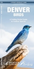 Denver Birds: A Folding Pocket Guide to Familiar Species (Pocket Naturalist Guide) By Audubon Society of Denver, James Kavanagh (Editor), Audubon Society of Greater Denver Cover Image