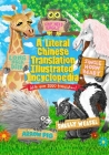 A Literal Chinese Translation Illustrated Encyclopedia By Antonio Durán (Foreword by), Kevin Bruce Cover Image