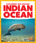 Indian Ocean By Avery Toolen Cover Image