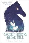 The Secret Horses of Briar Hill Cover Image