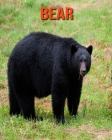 Bear: Incredible Pictures and Fun Facts about Bear Cover Image