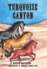 Turquoise Canyon By Kristen Halverson, Mariana Garcia Piza (Illustrator) Cover Image