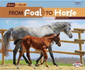 From Foal to Horse (Start to Finish) Cover Image