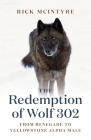 The Redemption of Wolf 302: From Renegade to Yellowstone Alpha Male By Rick McIntyre Cover Image