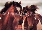 Wild Horses Of The Dunes By Rich Pomerantz Cover Image