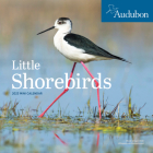 Audubon Little Shorebirds Mini Wall Calendar 2023: A Tribute to the Diversity of Shorebirds and the Fragile Ecosystems they Inhabit By Workman Calendars, National Audubon Society Cover Image