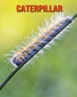 Caterpillar: Amazing Facts & Pictures By Pam Louise Cover Image