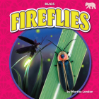 Fireflies (Bugs) By Martha London Cover Image