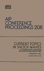 Current Topics in Shock Waves (Conference Proceedings Series: No. 208) By Y. W. Kim, Yong W. Kim (Editor), Chong Ed. Kim (Editor) Cover Image