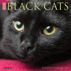 Just Black Cats 2022 Mini Wall Calendar Cover Image