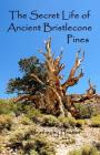 The Secret Life of Ancient Bristlecone Pines: Book One of the Secret Life Series By Heather H-J Heaton Cover Image