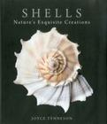 Shells: Nature's Exquisite Creations By Joyce Tenneson Cover Image