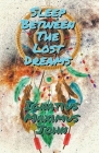 Sleep Between The Lost Dreams By Ignatius Maximus John Cover Image