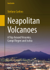 Neapolitan Volcanoes: A Trip Around Vesuvius, Campi Flegrei and Ischia (Geoguide) By Stefano Carlino Cover Image
