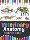Veterinary Anatomy Coloring Book: Veterinary Anatomy Coloring & Activity Book for Kids. An Entertaining & Instructive Guide To Veterinary Anatomy. Vet By Sreijeylone Publication Cover Image
