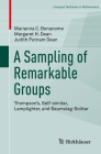 A Sampling of Remarkable Groups: Thompson's, Self-Similar, Lamplighter, and Baumslag-Solitar (Compact Textbooks in Mathematics) By Marianna C. Bonanome, Margaret H. Dean, Judith Putnam Dean Cover Image