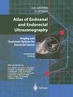 Atlas of Endoanal and Endorectal Ultrasonography: Staging and Treatment Options for Anorectal Cancer By Giulio A. Santoro, B. Cola (Foreword by), Giuseppe Di Falco Cover Image