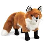 Red Fox Puppet By Folkmanis Puppets (Created by) Cover Image