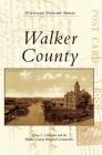 Walker County Cover Image