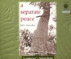 A Separate Peace Lib/E By John Knowles, Scott Snively (Read by) Cover Image