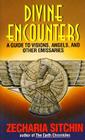 Divine Encounters (Earth Chronicles) Cover Image