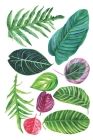 Notebook: for houseplants lovers Cover Image