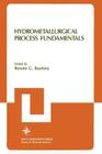 Hydrometallurgical Process Fundamentals By Renato G. Bautista Cover Image
