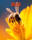 Bees: Fun Learning Facts About Bees By Trina Devlin Cover Image