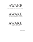 Awake By James Ramsey Cover Image