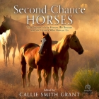 Second-Chance Horses: True Stories of the Horses We Rescue and the Horses Who Rescue Us Cover Image