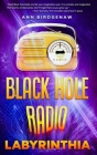 Black Hole Radio - Labyrinthia By Ann Birdgenaw, E. M. Roberts (Illustrator) Cover Image