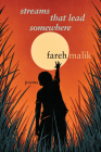 Streams That Lead Somewhere By Fareh Malik Cover Image
