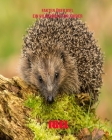 Igel: Fakten über Igel Ein Bilderbuch für Kinder By Hilary Capuozzo Cover Image