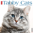 Just Tabby Cats 2022 Wall Calendar (Cat Breed) Cover Image