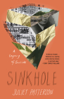 Sinkhole: A Legacy of Suicide By Juliet Patterson Cover Image