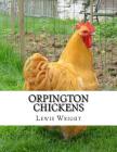 Orpington Chickens: From The Book of Poultry By Jackson Chambers (Introduction by), Lewis Wright Cover Image