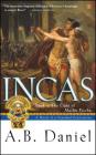 Incas: Book 3: The Light of Machu Picchu Cover Image