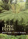 Tree Ferns By Mark F. Large, John  E. Braggins Cover Image