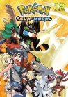 Pokémon: Sun & Moon, Vol. 12 Cover Image