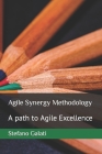 Agile Synergy Methodology: A path to Agile Excellence Cover Image