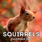 Squirrels Calendar 2021: 16-Month Calendar, Cute Gift Idea For Squirrels Lovers Women & Men Cover Image