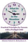 What Do I Do In The Meantime?: Practical Principles for Parents with a Prodigal Child By Robert E. Richardson Jr Cover Image