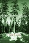 Forest Trees of Maine By Maine-Forest-Service, Cover Image