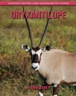 Oryxantilope: Lustige Fakten und sagenhafte Fotos By Jeanne Sorey Cover Image