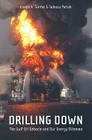 Drilling Down: The Gulf Oil Debacle and Our Energy Dilemma By Joseph A. Tainter, Tadeusz W. Patzek Cover Image
