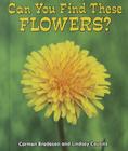 Can You Find These Flowers? (All about Nature) By Carmen Bredeson, Lindsey Cousins Cover Image